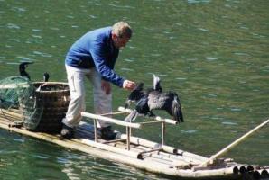 Guilin Cormorant Fishing